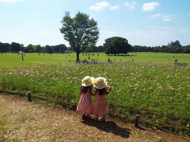 13866633_1801613330075570_124065561_n