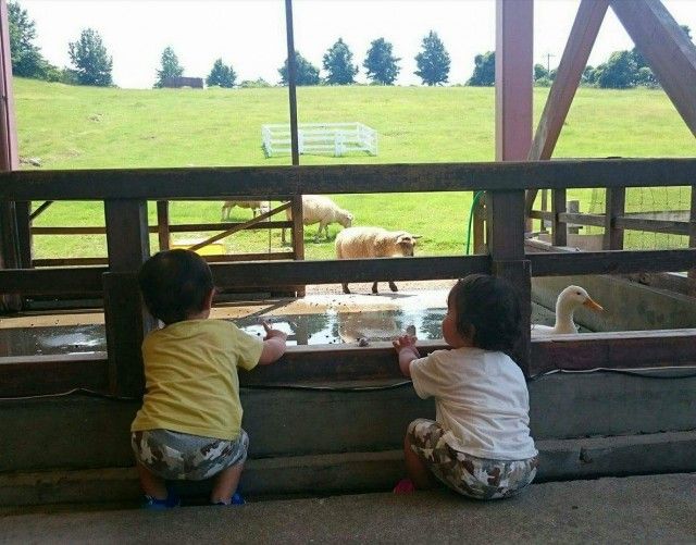 received_905672472898002