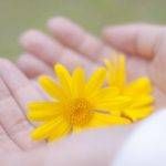 【ユーザーの声】思ってたのと違った、っていうところはどこ？